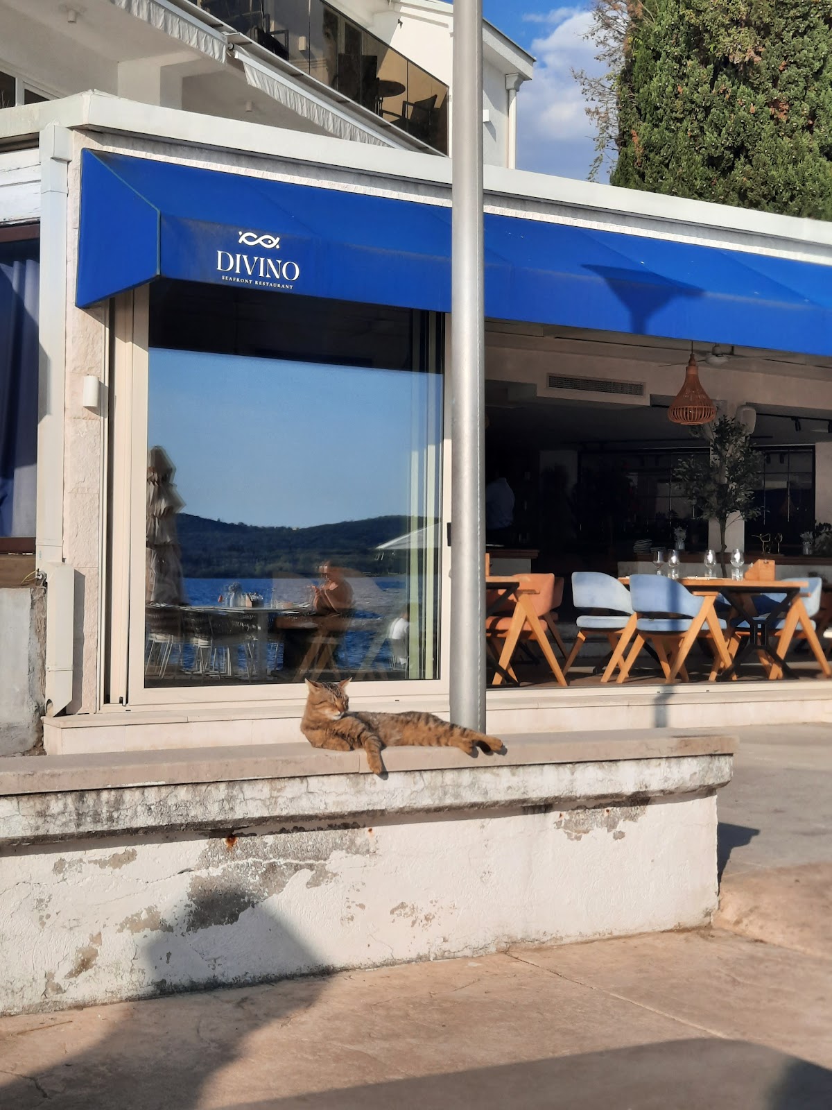 Divino - Seafront Restaurant Photo 13